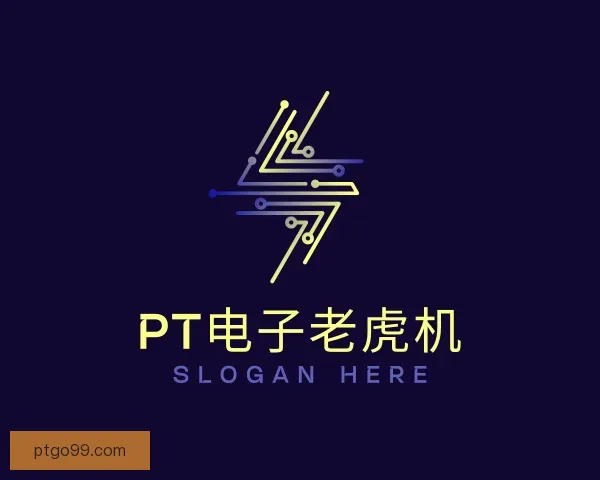 关于PT电子老虎机